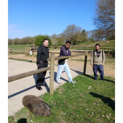 Journée médiation animale