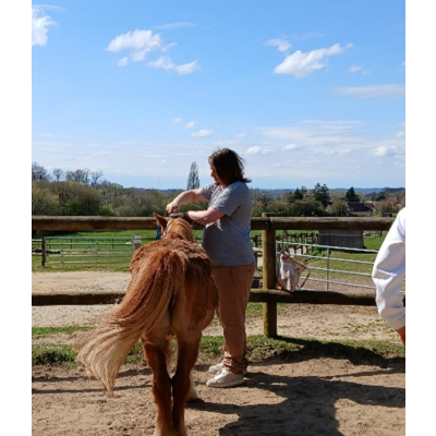 Journée médiation animale